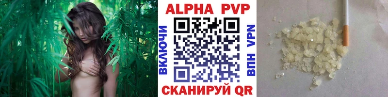 А ПВП крисы CK  мориарти Telegram  Елизаветинская 
