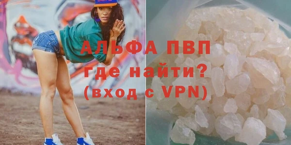 сатива Абинск