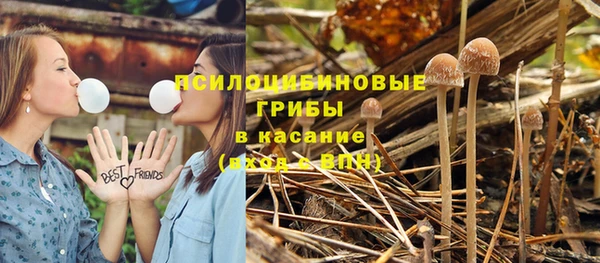 а пвп мука Абдулино