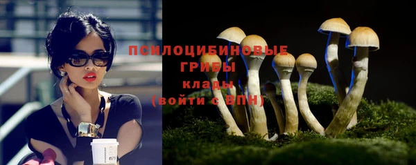 сатива Абинск
