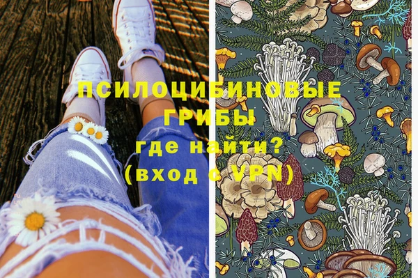 сатива Абинск