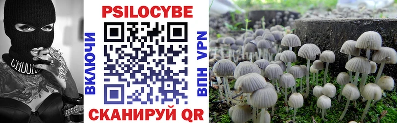 мориарти Telegram  Елизаветинская  Галлюциногенные грибы GOLDEN TEACHER 